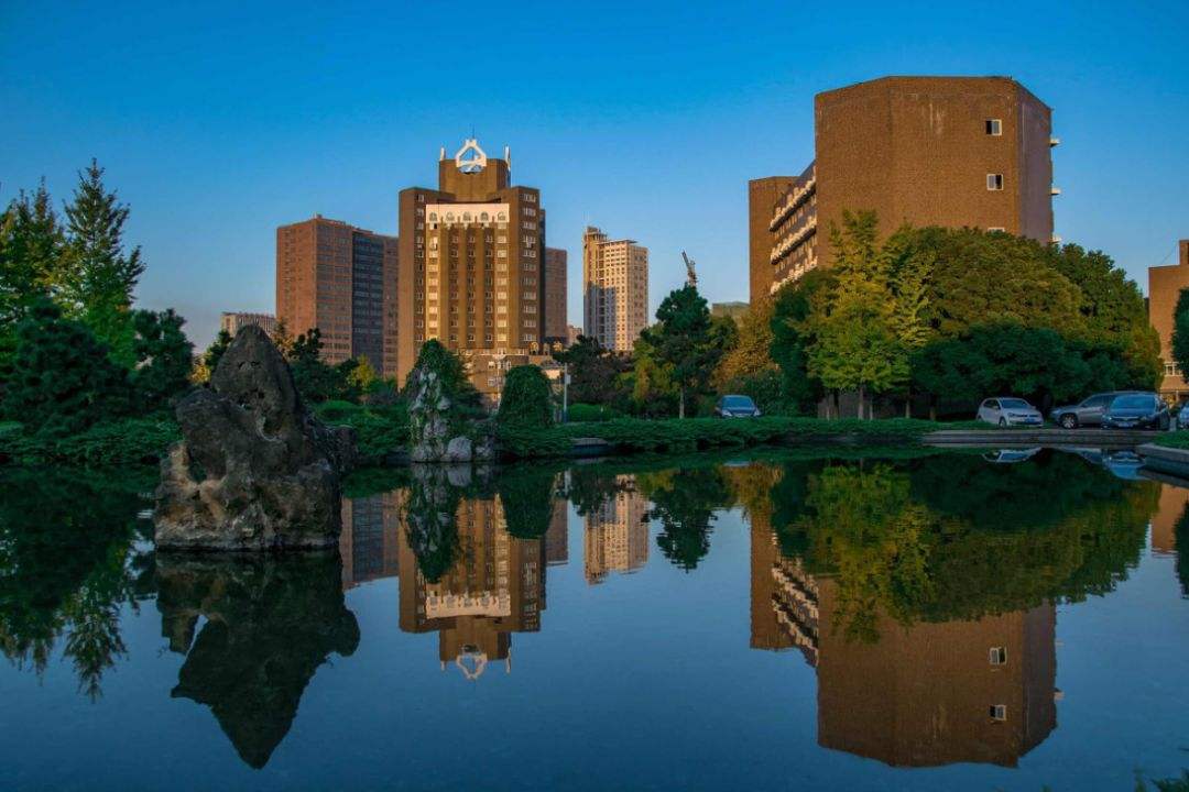 20190522105948933.jpg timgCAUW9WFT.jpg